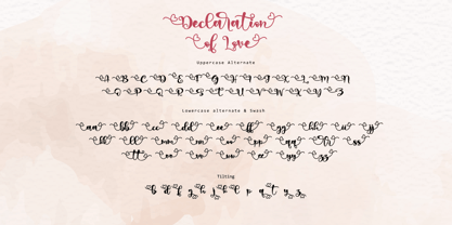 Declaration Of Love Font Poster 7