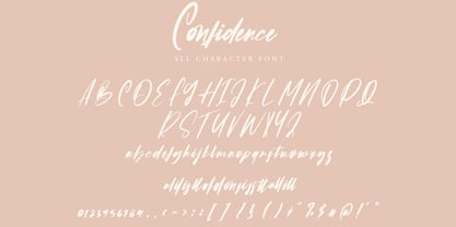 Confidence Font Poster 8