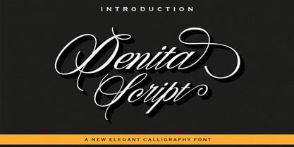 Denita Script Font Poster 1