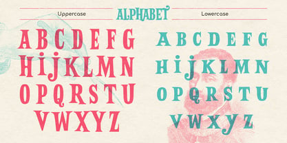 Balter Serif Font Poster 8