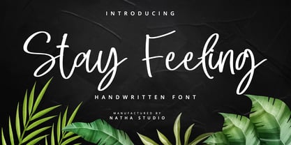 Stay Feeling Font Poster 1