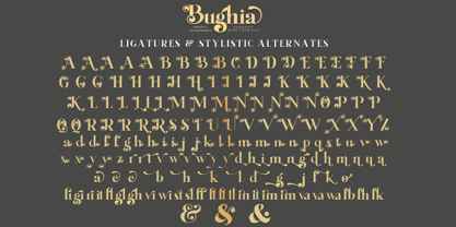 Bughia Font Poster 7