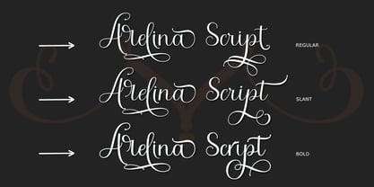 Arelina Script Font Poster 6