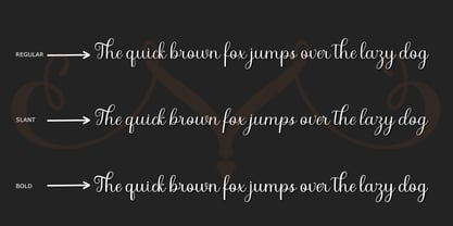 Arelina Script Font Poster 5