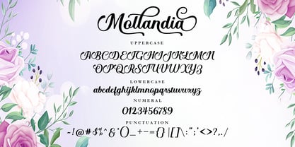 Mollandia Font Poster 8