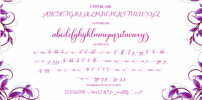 Baby Angelonia Font Poster 11