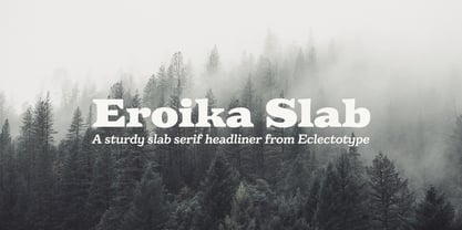 Eroika Slab Font Poster 1