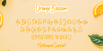 Orange Blossom Fuente Póster 7