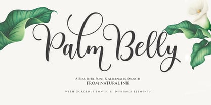 Palm Belly Font Poster 1