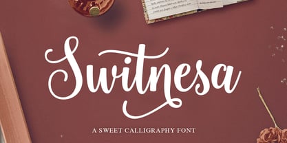 Switnesa Script Font Poster 1