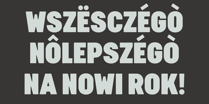 Cervo Neue Condensed Police Poster 6