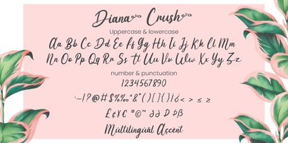 Diana Crush Font Poster 7