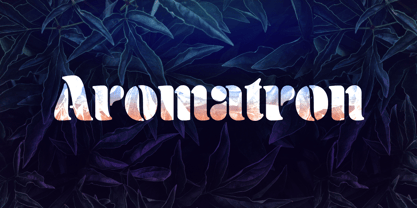 Aromatron Font Poster 1