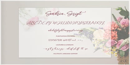 Sandria Script Font Poster 9