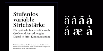 Lina Serif Font Poster 5