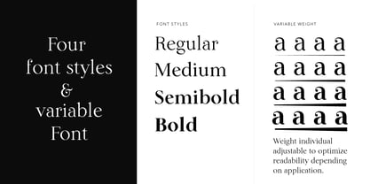 Lina Serif Font Poster 2