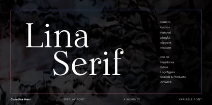 Lina Serif Font Poster 1