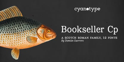 Bookseller Cp Font Poster 1
