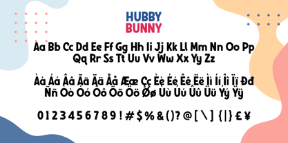 Hubby Bunny Font Poster 9