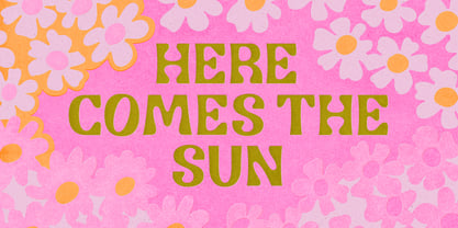 Sunfleur Font Poster 2