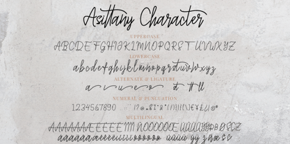 Asittany Script Font Poster 5