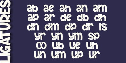 Idraes Font Poster 11