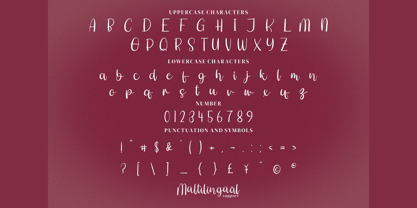 Shitti Beauty Font Poster 5