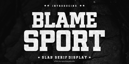 Blame Sport Font Poster 1