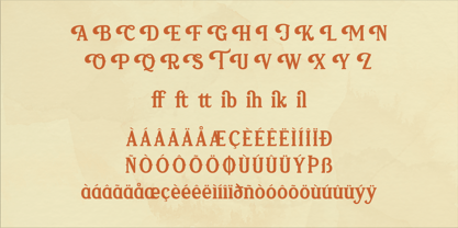 Vejlikan Font Poster 8