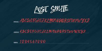 Lost Smile Font Poster 13