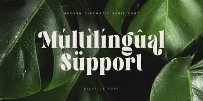 Silutive Font Poster 12