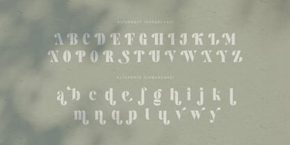 Silutive Font Poster 9