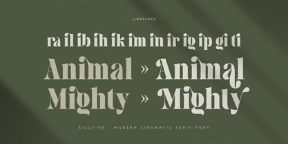 Silutive Font Poster 8