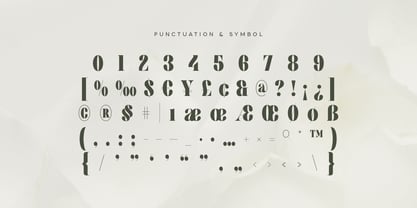 Silutive Font Poster 11