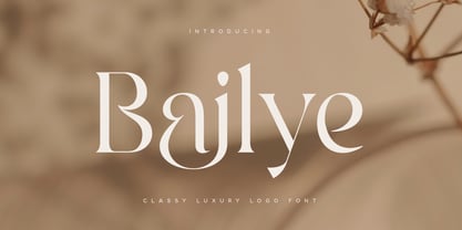 Bailye Font Poster 1