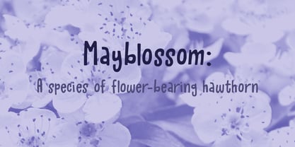 Mayblossom Font Poster 2