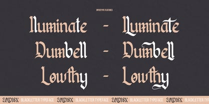 Zoldisx Font Poster 12