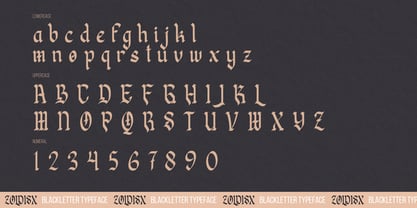 Zoldisx Font Poster 13