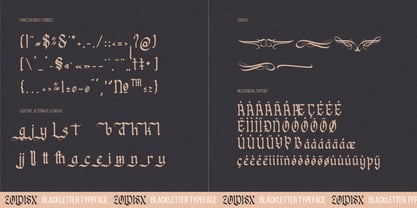 Zoldisx Font Poster 14