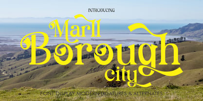 Marll Borough City Font Poster 1