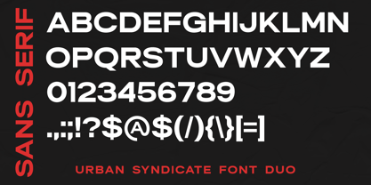 Urban Syndicate Font Poster 6