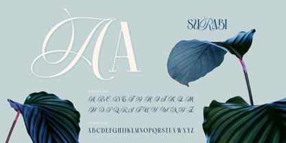 Surabi Font Poster 2