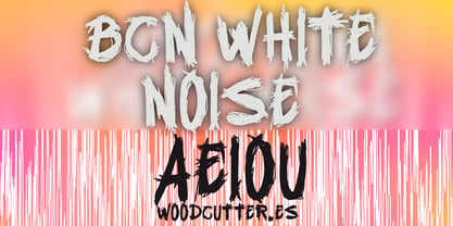 BCN White Noise Font Poster 5