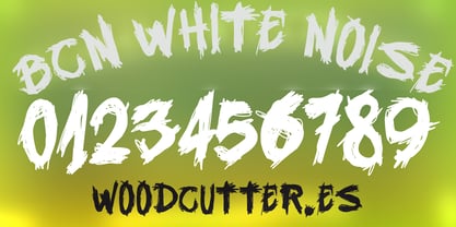 BCN White Noise Font Poster 6