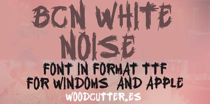 BCN White Noise Font Poster 3