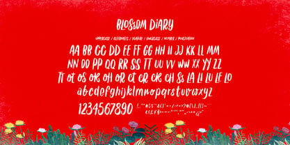 Blossom Diary Font Poster 6