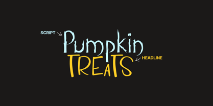 Pumpkin Treats Font Poster 10