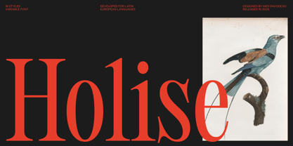 Holise Variable Font Poster 1