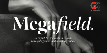 Megafield Font Poster 1