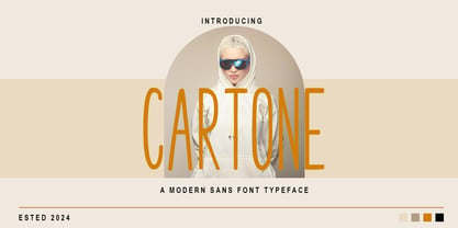 Cartone Font Poster 1